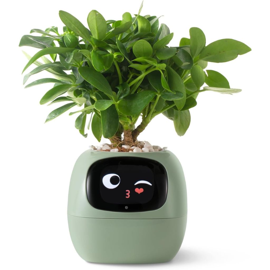 Smart Plant Pot - Automated, Waterproof | Serenity