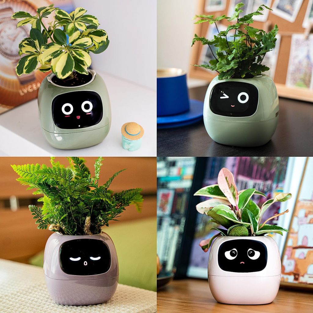 Smart Plant Pot - Automated Watering | Easy Care