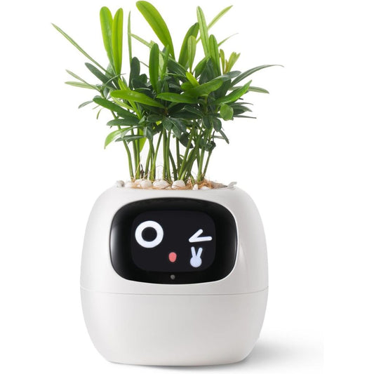 Smart Plant Pot - Automated, Waterproof | Serenity