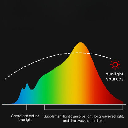 Monitor Light Bar - Anti-Glare, USB | Eye Comfort