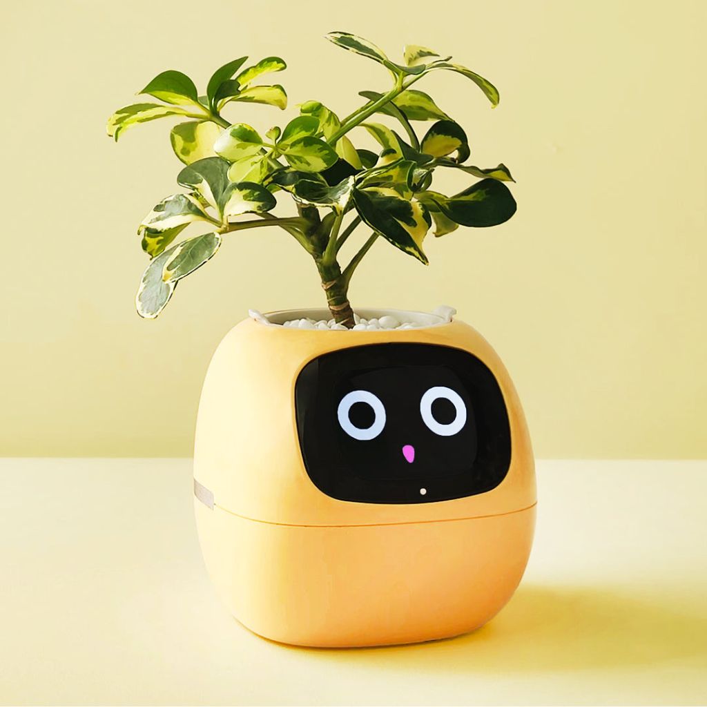 Smart Plant Pot - Automated Watering | Easy Care